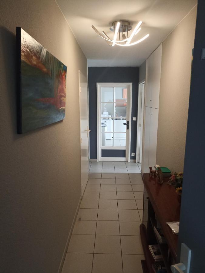 Bayonne appartement 63m2 avec terrase parking wifi Extérieur photo